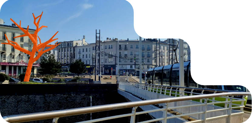 Brest Arbre de Siam